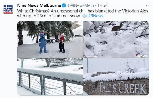 13年来最冷12月天！维州迎降雪！网友纷纷晒雪景照：要过白色圣诞了吗（组图） - 6