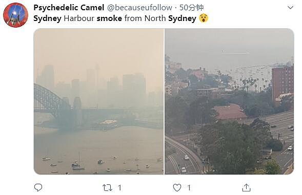 新州山火持续肆虐，悉尼再遭浓烟锁城，天空又现“血日”！网友：这味太呛人！（组图） - 7