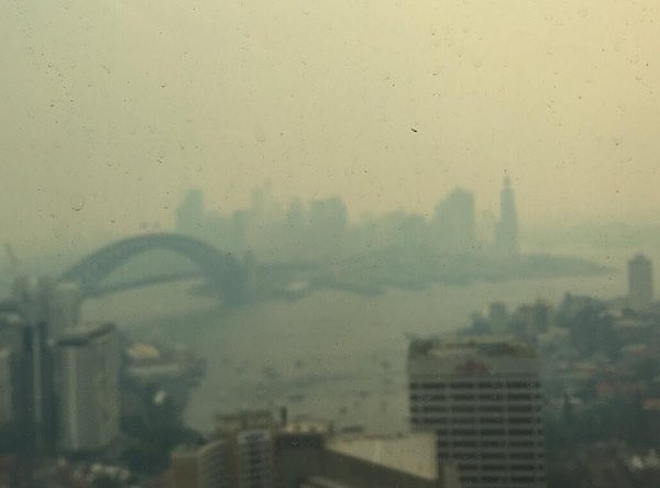 新州山火持续肆虐，悉尼再遭浓烟锁城，天空又现“血日”！网友：这味太呛人！（组图） - 13
