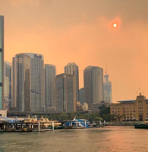 新州山火持续肆虐，悉尼再遭浓烟锁城，天空又现“血日”！网友：这味太呛人！（组图） - 19