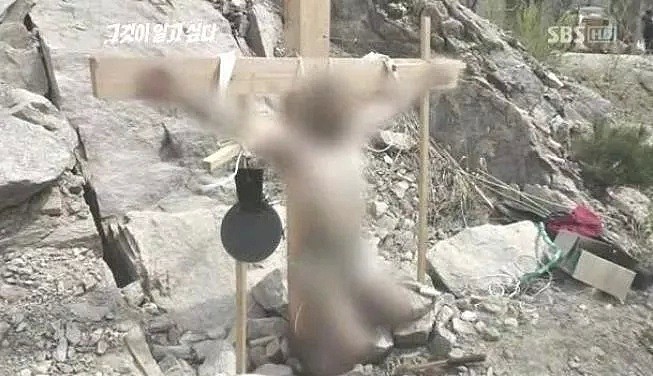 【猎奇】恐怖！韩国十字架悬案，模仿耶稣姿势自杀？（组图） - 1