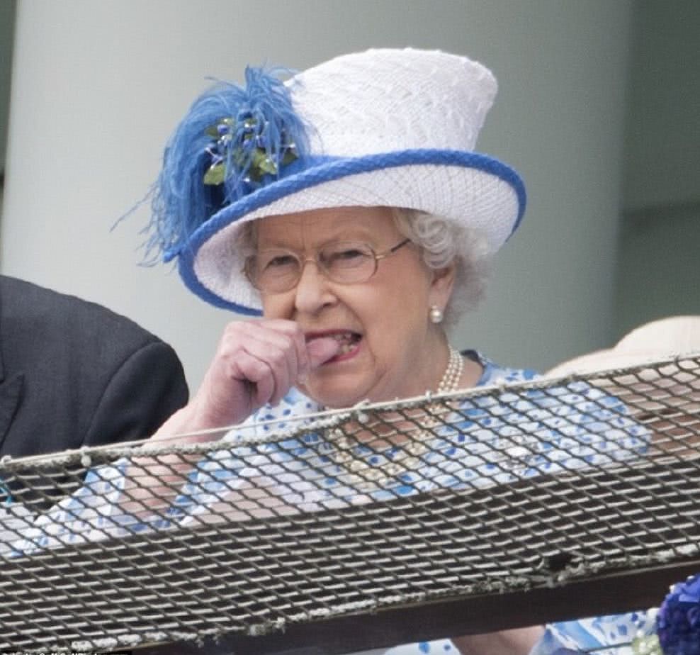 英国女王终于要退休了！（组图） - 35