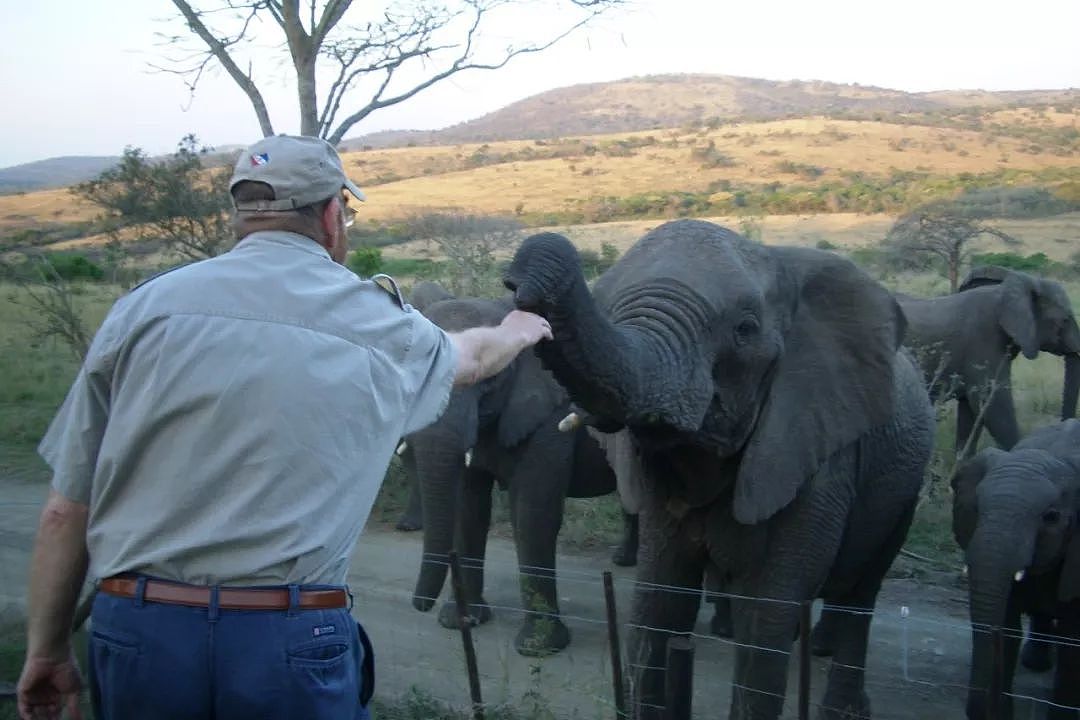 他救了7头大象，21只大象却赶来给他送葬 ！冷漠的世界，动物真的比人更长情（组图） - 23