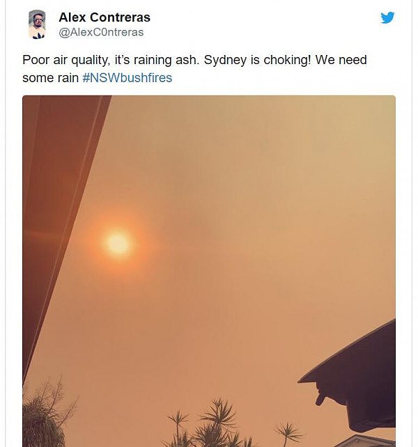 新州山火肆虐，悉尼上空开始“掉渣”！车上屋顶全是灰，百万网友在线晒图吐槽（视频/组图） - 5