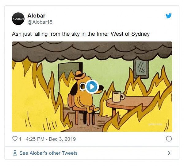 新州山火肆虐，悉尼上空开始“掉渣”！车上屋顶全是灰，百万网友在线晒图吐槽（视频/组图） - 3