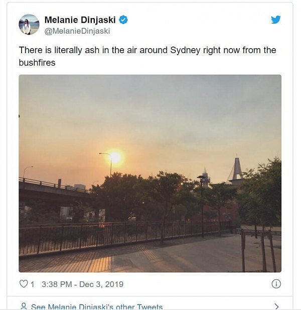 新州山火肆虐，悉尼上空开始“掉渣”！车上屋顶全是灰，百万网友在线晒图吐槽（视频/组图） - 4
