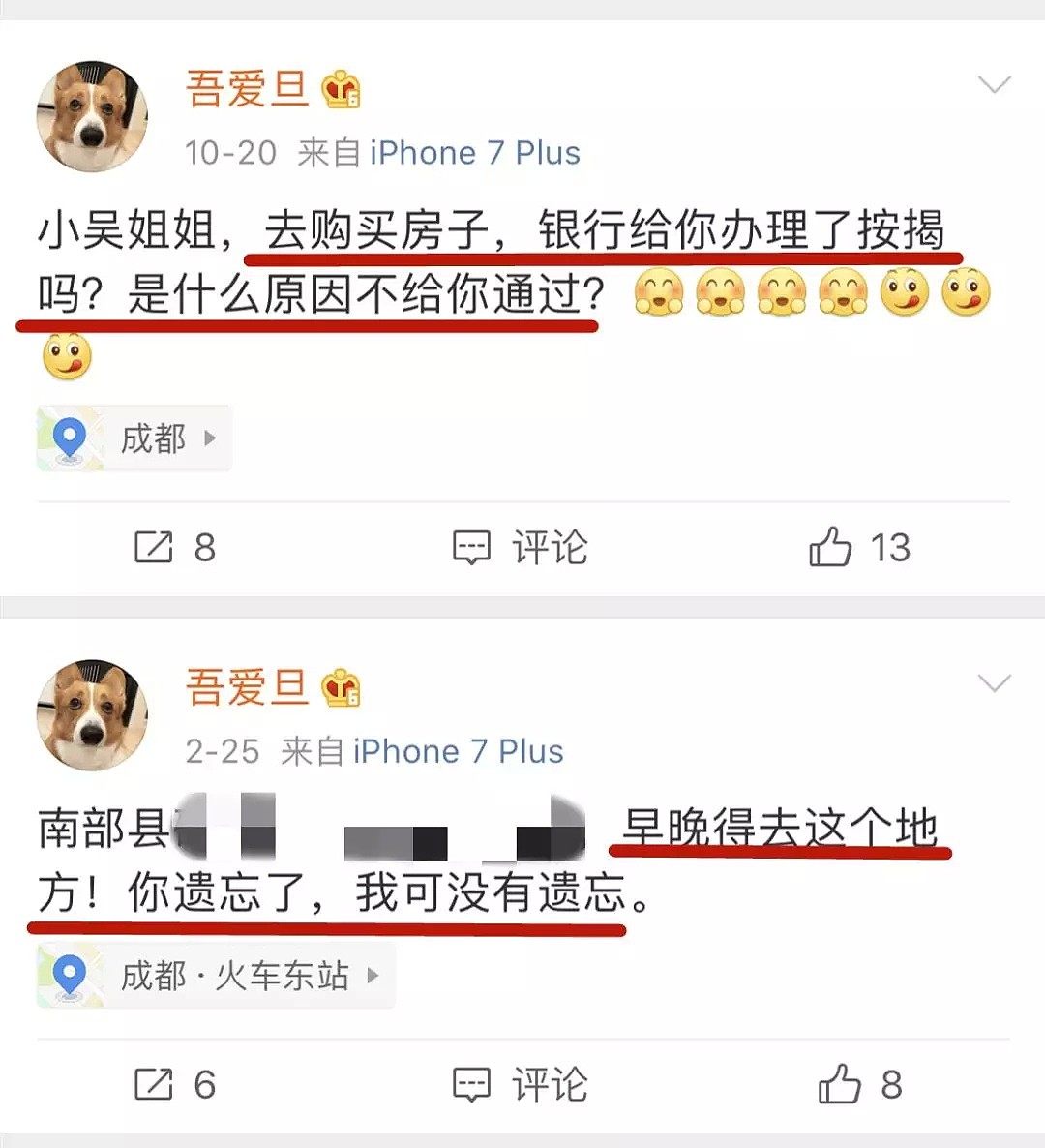 成都摔狗案后续：2年前她摔死了我的狗，2年后她还不想放过我（组图） - 28