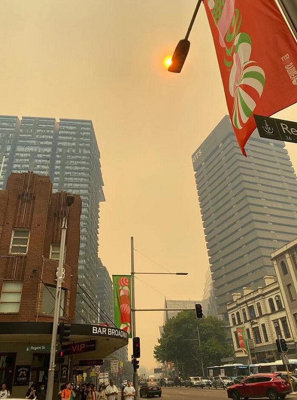 新州山火肆虐，悉尼惊现“末世场景”！华人：雾霾还是悉尼醇厚（组图） - 3