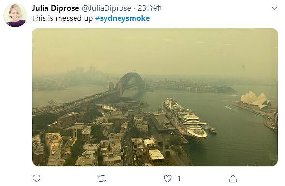新州山火肆虐，悉尼惊现“末世场景”！华人：雾霾还是悉尼醇厚（组图） - 12