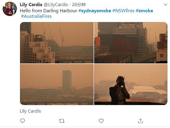 新州山火肆虐，悉尼惊现“末世场景”！华人：雾霾还是悉尼醇厚（组图） - 15