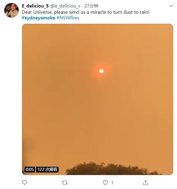 新州山火肆虐，悉尼惊现“末世场景”！华人：雾霾还是悉尼醇厚（组图） - 16