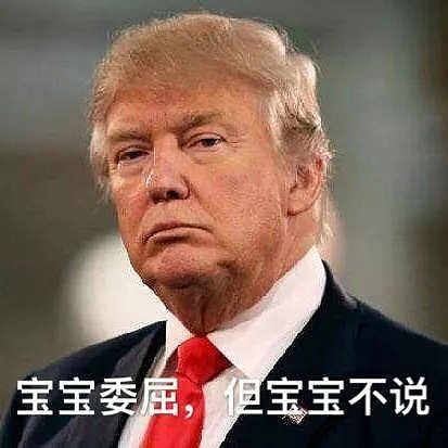 特鲁多又登全球头条! 却丢脸丢大了…特朗普忍不住开炮狂轰（视频/组图） - 9