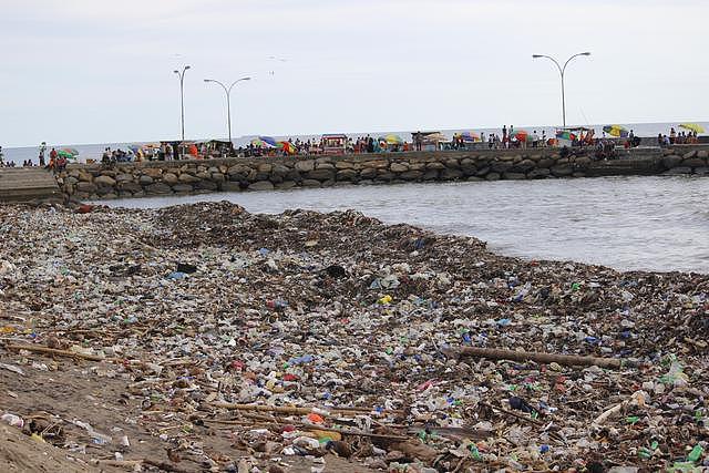 孟买海滩堆满数吨垃圾，瑞典国王王后不嫌脏臭亲自动手清理