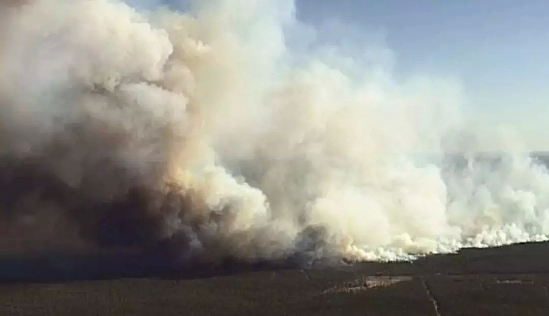 昆州山火更新为紧急状态，Toowoomba附近居民被要求撤离，本周气温或将升至40度 - 1