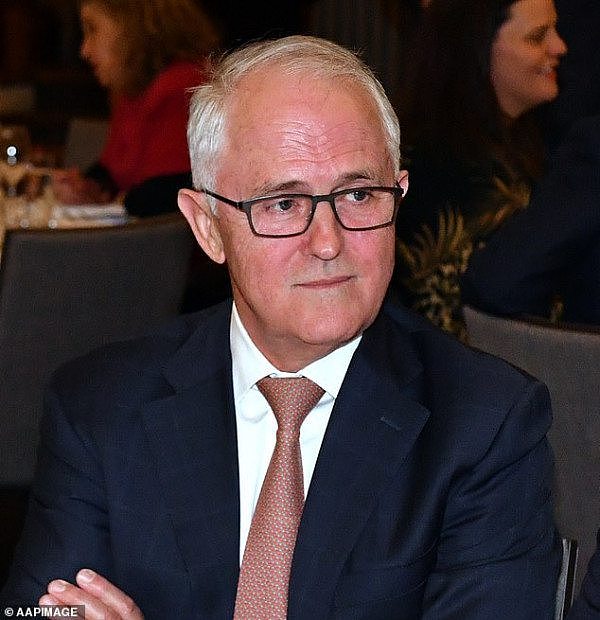 21890022-7762203-Mr_Turnbull_s_comments_come_after_he_criticised_the_Liberal_Part-a-28_1575599652743.jpg,0