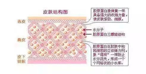 双十二特惠！汤唯、大S…众多女明星都在用的冻龄神器！伊梵希福利大放送！ - 20