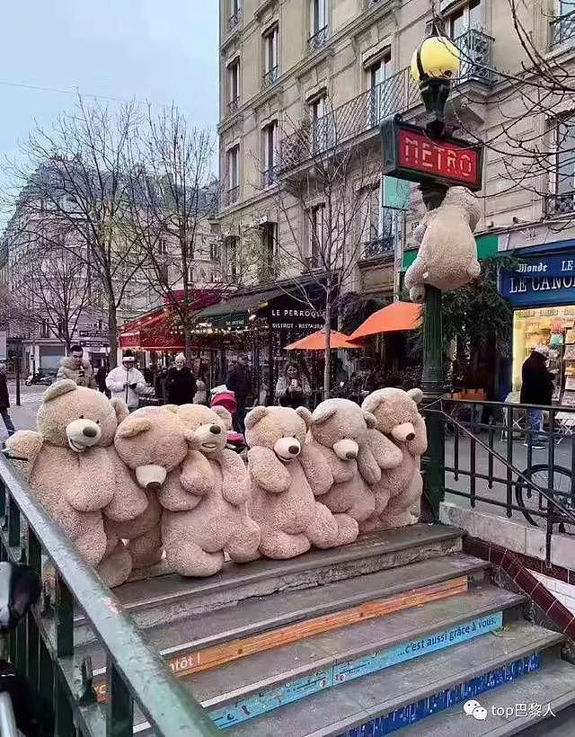 法国宇宙级罢工大爆发！火了的并不是法国人，而是一堆熊...