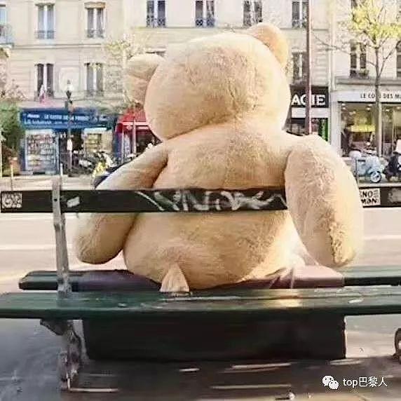 法国宇宙级罢工大爆发！火了的并不是法国人，而是一堆熊...