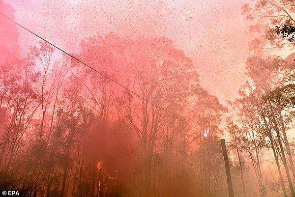 新州出现“超级山火”，正烧向人口密集区！消防局：要花数周才能扑灭（组图） - 2