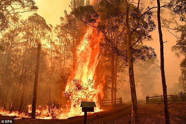新州出现“超级山火”，正烧向人口密集区！消防局：要花数周才能扑灭（组图） - 3