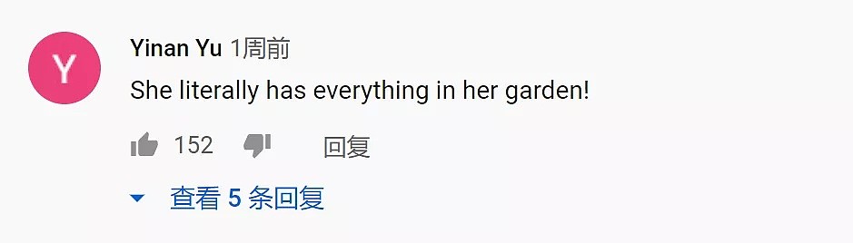 李子柒，那个让千万外国人看到中国美好的姑娘（视频/组图） - 18