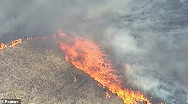 澳洲山火肆虐，多地告急！昆州惊现“火龙卷”场景（视频/组图） - 2