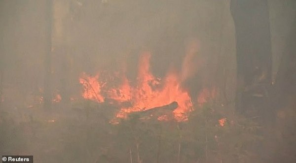 澳洲山火肆虐，多地告急！昆州惊现“火龙卷”场景（视频/组图） - 3