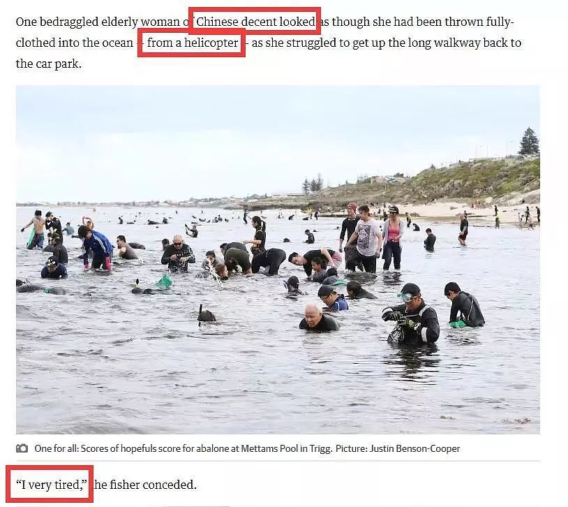 最近，澳洲海滩被华人吃货“攻占”！再不去就晚了，各类海鲜免费拿（组图） - 10
