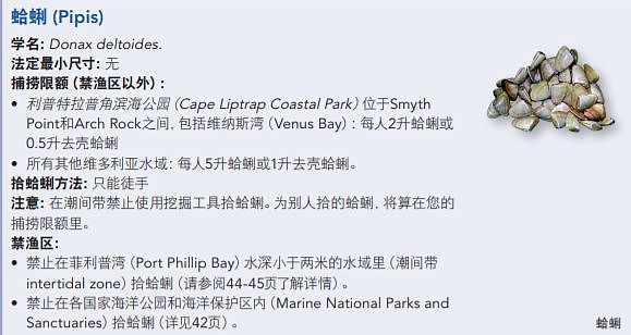 最近，澳洲海滩被华人吃货“攻占”！再不去就晚了，各类海鲜免费拿（组图） - 17