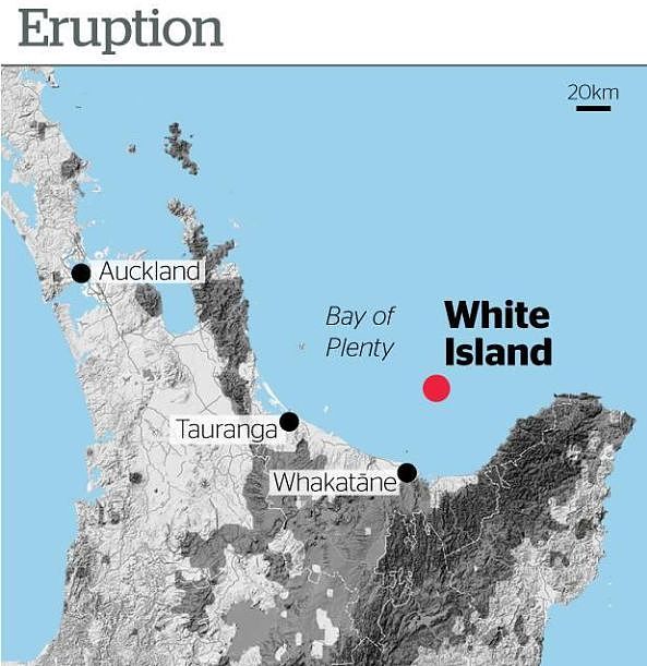 新西兰火山爆发：旅游胜地白岛5人死亡，多人下落不明！(组图) - 6