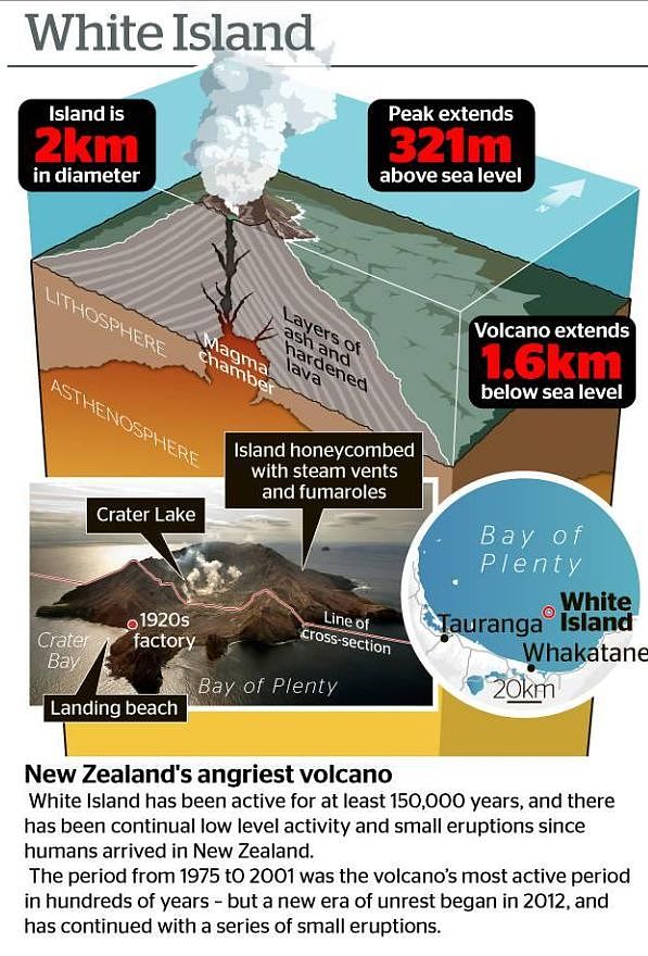 新西兰火山爆发：旅游胜地白岛5人死亡，多人下落不明！(组图) - 23