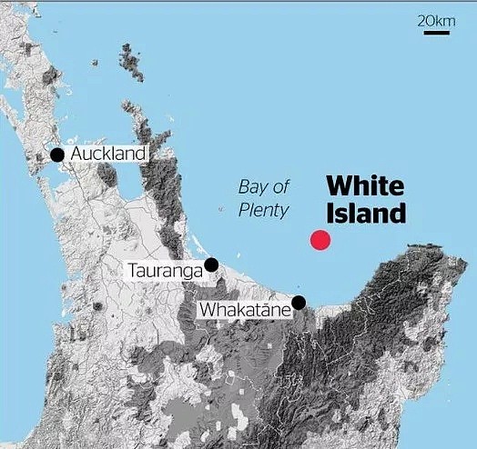 一文知道新西兰怀特岛的前世今生：无人岛如何成为人间炼狱（组图） - 1