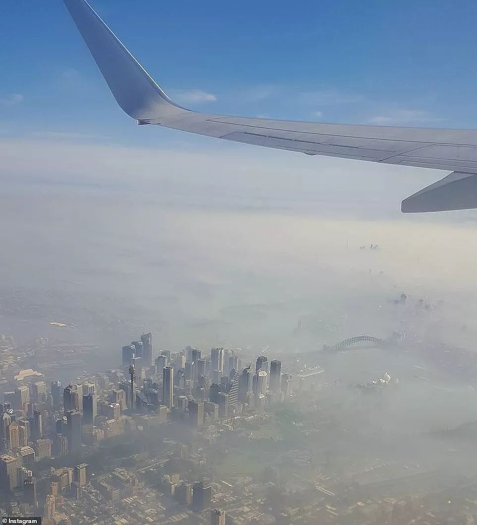 窒息！悉尼空气质量“危险”爆表！大火逼城，生灵涂炭，海滩黑化，这场大火，跟我们每个人都息息相关！（组图） - 54