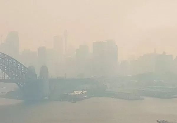 窒息！悉尼空气质量“危险”爆表！大火逼城，生灵涂炭，海滩黑化，这场大火，跟我们每个人都息息相关！（组图） - 55