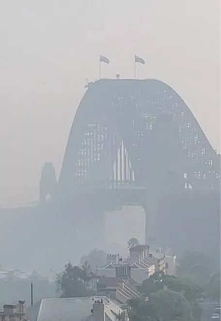 窒息！悉尼空气质量“危险”爆表！大火逼城，生灵涂炭，海滩黑化，这场大火，跟我们每个人都息息相关！（组图） - 64