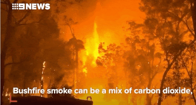 窒息！悉尼空气质量“危险”爆表！大火逼城，生灵涂炭，海滩黑化，这场大火，跟我们每个人都息息相关！（组图） - 86