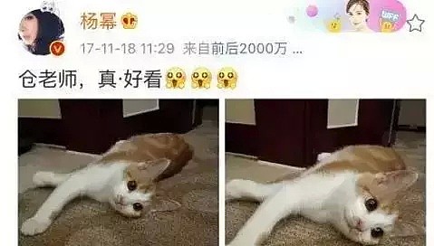 爆了！杨幂恋爱实锤，已和小男友同居？马上就要官宣了…（组图） - 35