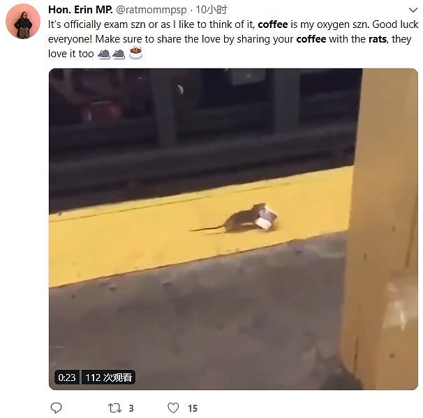 “咖啡鼠”手拿咖啡惊现纽约地铁站台！！一夜成网红！（组图） - 4