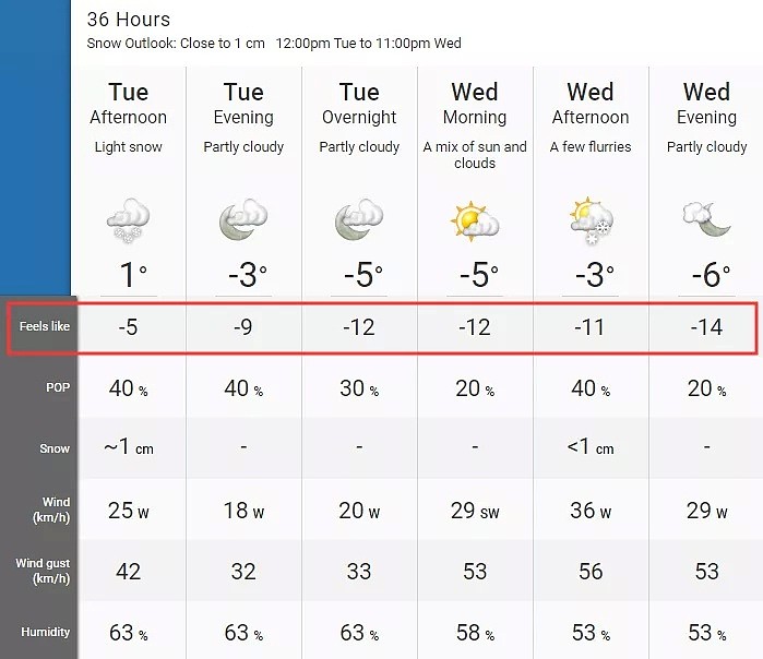 西伯利亚寒流冰封加拿大！-50℃极寒令人类恐惧（组图） - 14