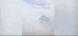惊险！澳洲姐妹驾车穿越山火画面曝光：里面啥也看不见（视频/组图） - 2