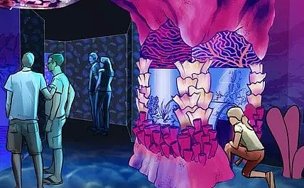 年末最仙水母展来袭，沉浸式展览馆袭卷墨尔本，百万彩色水母都是做你的背景墙！ - 11