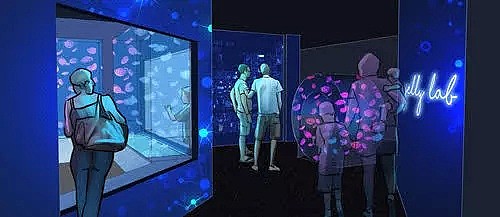 年末最仙水母展来袭，沉浸式展览馆袭卷墨尔本，百万彩色水母都是做你的背景墙！ - 5