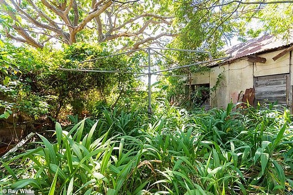 到处都是蜘蛛网、废弃的家具和令人毛骨悚然的墙纸，悉尼“鬼屋”售价竟可能高达300万澳元？！（组图） - 9