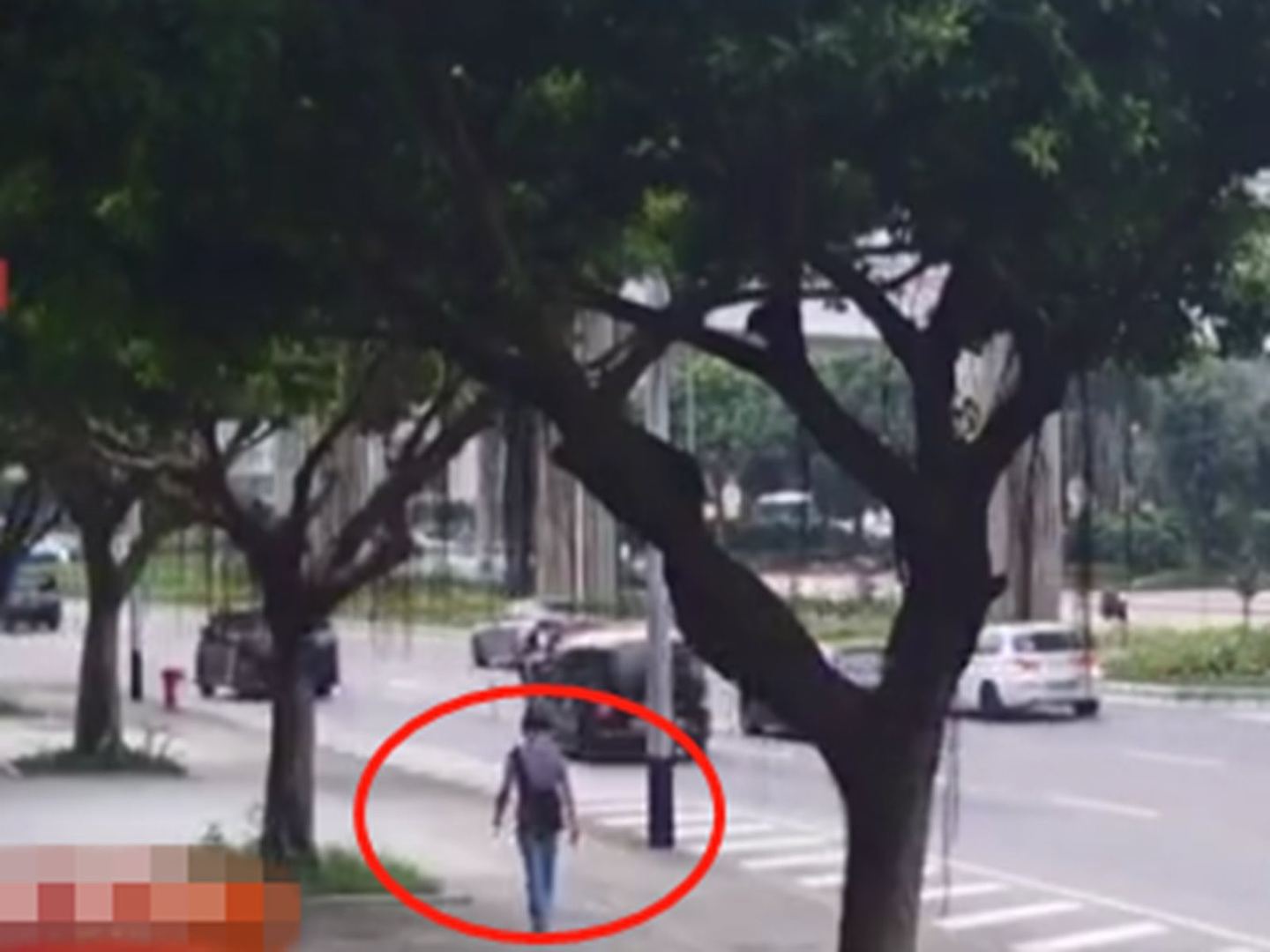 中国官方首次披露 香港男子冲闯驻澳部队被制伏（视频/组图） - 1