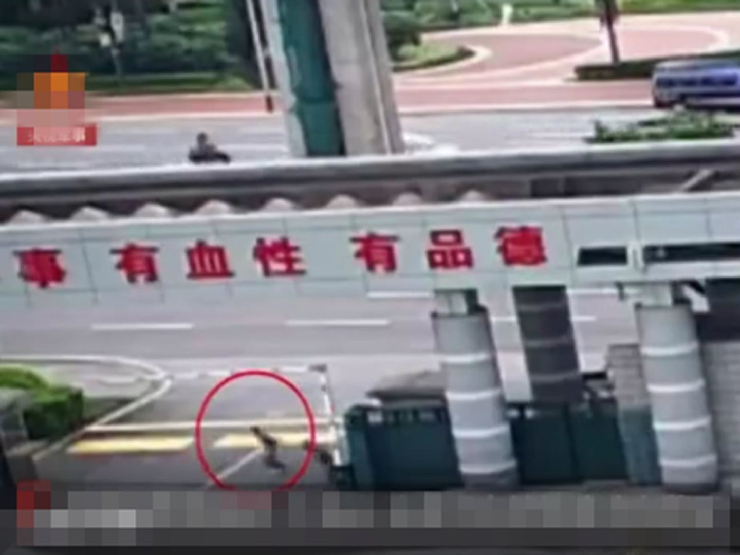 中国官方首次披露 香港男子冲闯驻澳部队被制伏（视频/组图） - 2