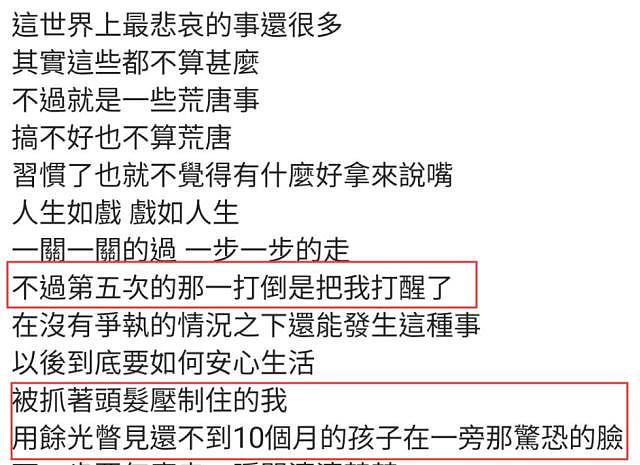 名模怀抱双胞胎遭家暴，自嘲被打得像猪头，老公却解释喝醉酒失忆（组图） - 3