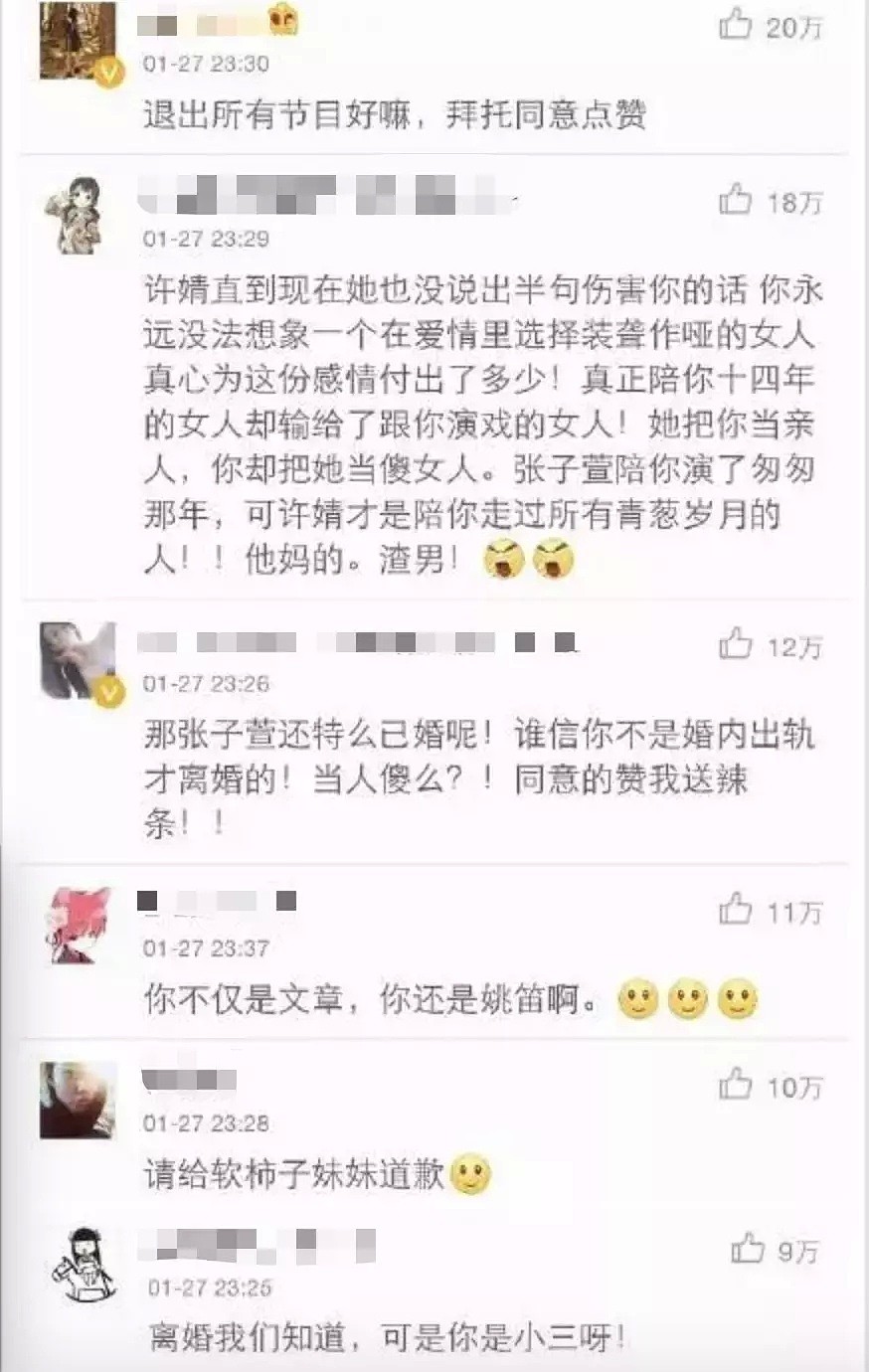 真怀二胎了！双双出轨被全网封杀，他俩竟为爱退圈不演戏了...（组图） - 17