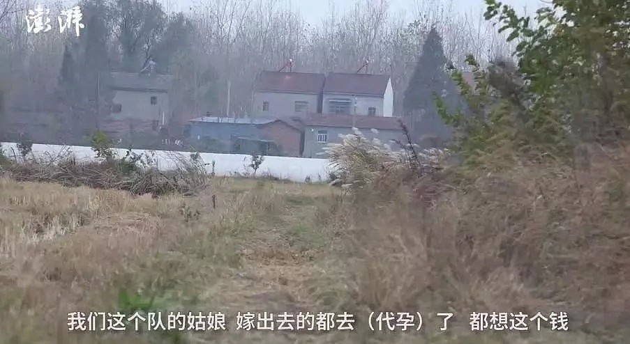 “我舍弃我的尊严，我不计后果，用我的子宫，换了两套房”...（组图） - 10