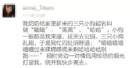 【爆笑】朱丹口误被骂上热搜，网友推出神口误集锦~笑蒙圈了哈哈哈哈哈哈（视频/组图） - 24