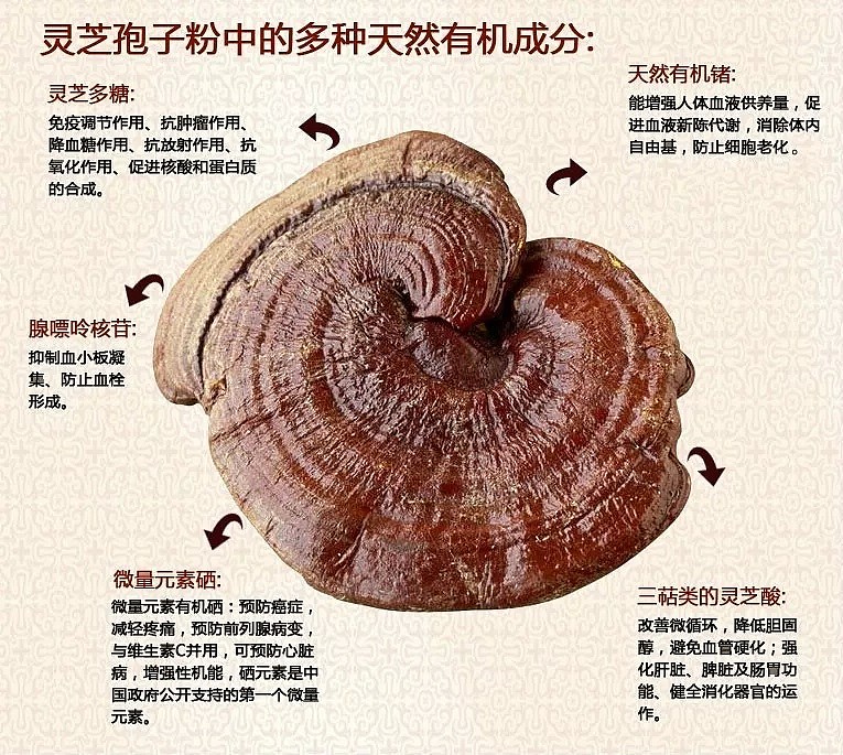 年轻人凌晨三点无睡意的危机-同仁堂来告诉你必须知道的故事和养生理念。 - 12